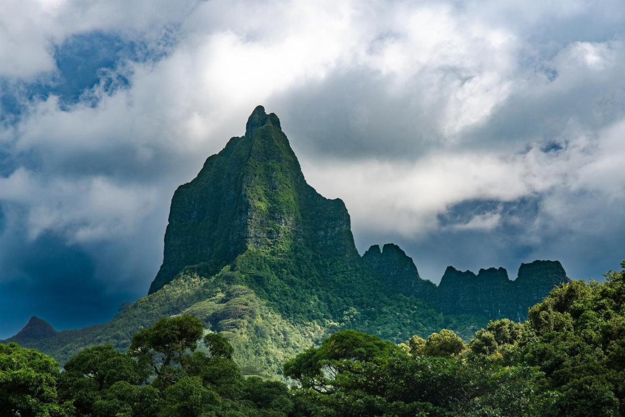 Moorea - Fare Nihei Maharepa  Extérieur photo